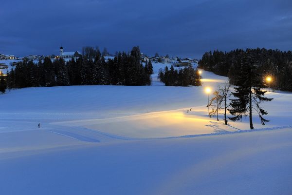 Wellnesshotel Linde (Sulzberg)